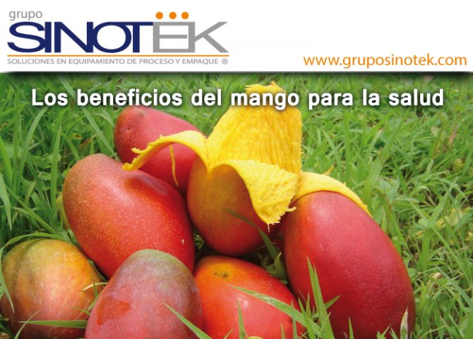 Los Beneficios Del Mango Para La Salud - Sinotek